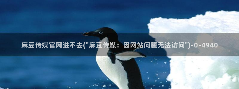 麻豆传媒官网iOS：麻豆传媒官网进不去(\
