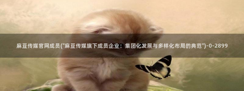 麻豆床传媒官网2021：麻豆传媒官网成员(\