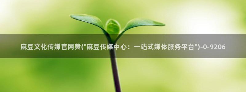 麻豆传媒体官网：麻豆文化传媒官网黄(\