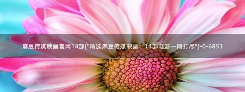 mdmup麻豆传媒官网：麻豆传媒映画官网14部(\