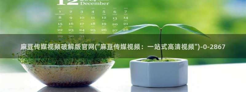 麻豆传媒官网芒果视频：麻豆传媒视频破解版官网(\