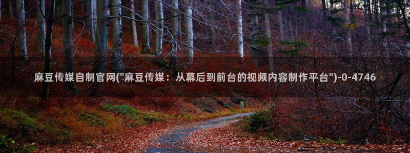 麻豆传媒官网在线观：麻豆传媒自制官网(\
