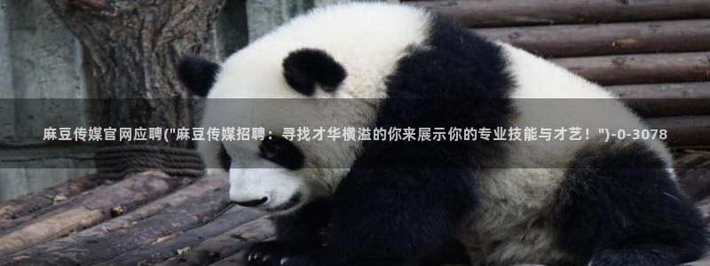 麻豆视传媒官网直：麻豆传媒官网应聘(\