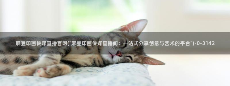 麻豆传媒官网花絮：麻豆印画传媒直播官网(\