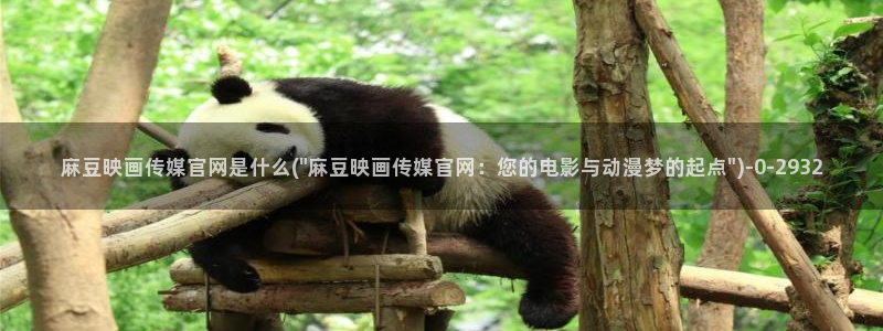 麻豆传媒印话官网：麻豆映画传媒官网是什么(\