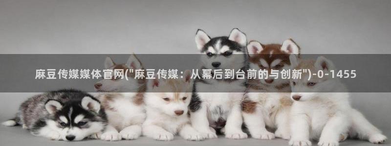 麻豆传媒映画传媒官网：麻豆传媒媒体官网(\