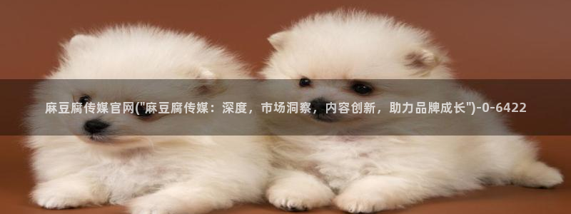 麻豆传媒手机官网
