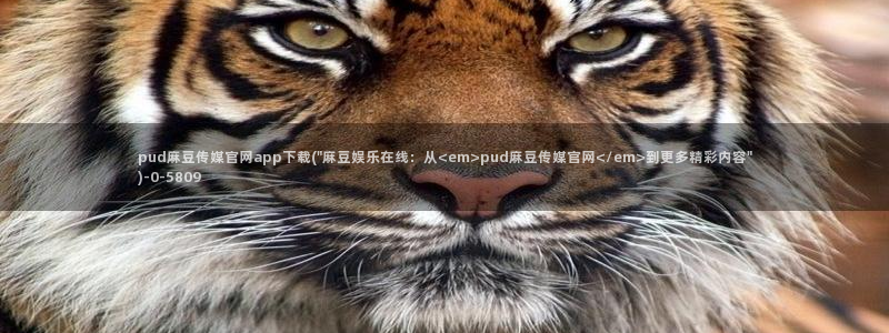 ww麻豆传媒官网：pud麻豆传媒官网app下载(\