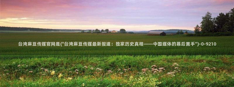 麻豆自传媒 官网：台湾麻豆传媒官网是(\