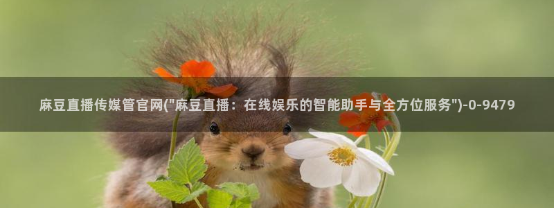 麻豆传媒官网番号：麻豆直播传媒管官网(\