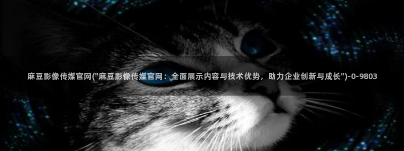 麻豆传媒官网打不开：麻豆影像传媒官网(\