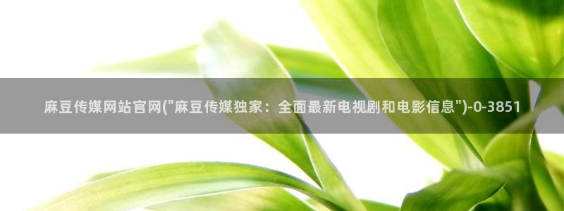官网麻豆传媒视频：麻豆传媒网站官网(\