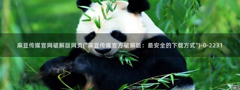 麻豆传媒官网女主播：麻豆传媒官网破解版网页(\