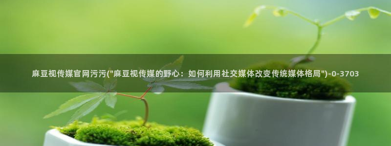 麻豆自制传媒 官网：麻豆视传媒官网污污(\