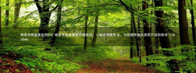 麻豆传媒官网怎么破解