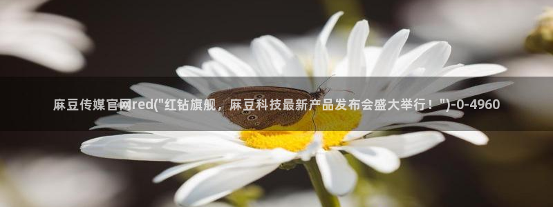 91麻豆传媒官网：麻豆传媒官网red(\