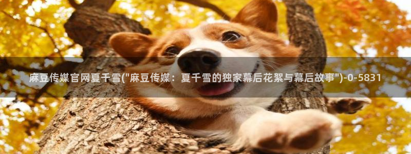 麻豆系列传媒官网：麻豆传媒官网夏千雪(\