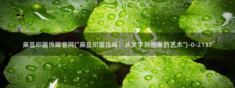 麻豆91传媒直播官网