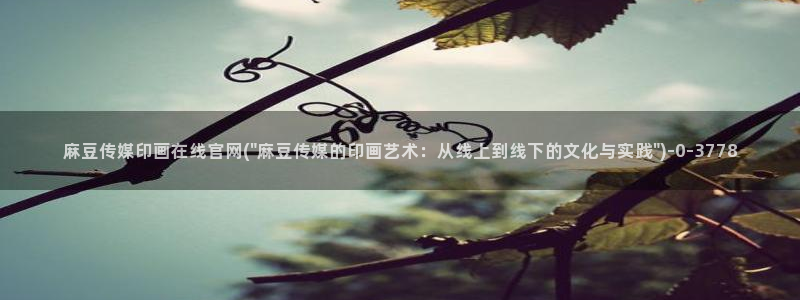 麻豆影视传媒官网：麻豆传媒印画在线官网(\