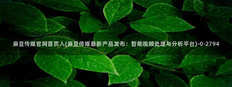 麻豆豆传媒官网：麻豆传媒官网首页入(麻豆传媒最新产品发布：智能视频处理与分析平台)