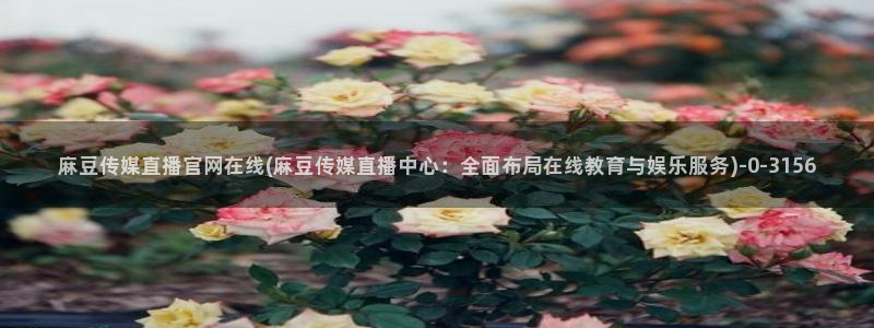麻豆传媒动画官网
