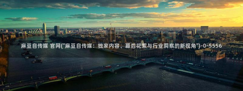 麻豆自制传媒 官网