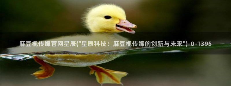麻豆传媒官网怎么打开